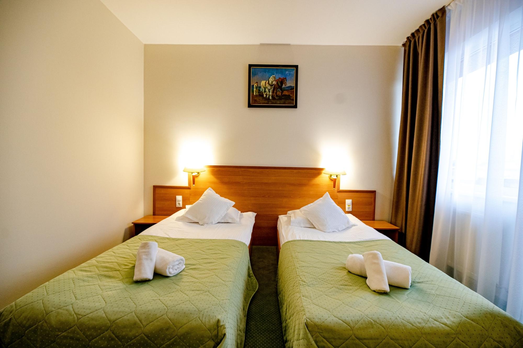Hotel Rivulus Baia Mare Exterior photo